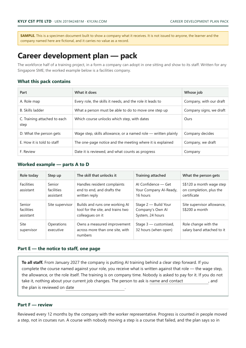 Sample career development plan pack showing roles, skills ladder and what the person gains